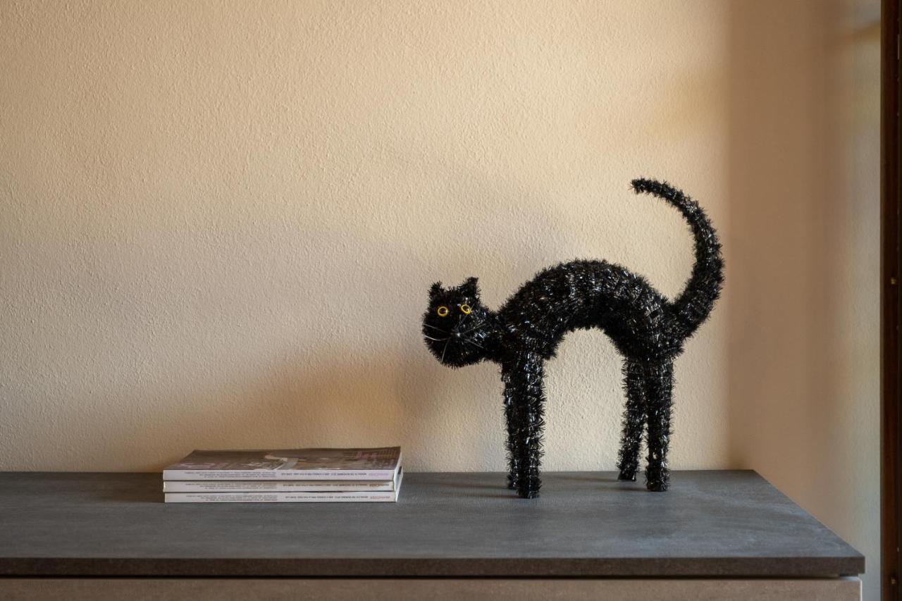 Casa Del Gatto Daire Paratico Dış mekan fotoğraf